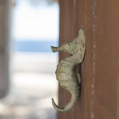 Blue Moon Mykonos Homes Apartment Agios Ioannis Diakoftis